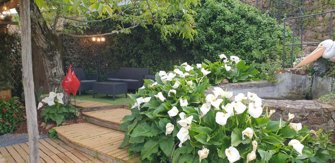 Casa Belavista Penela - Charming Guest House - Adults Only מראה חיצוני תמונה