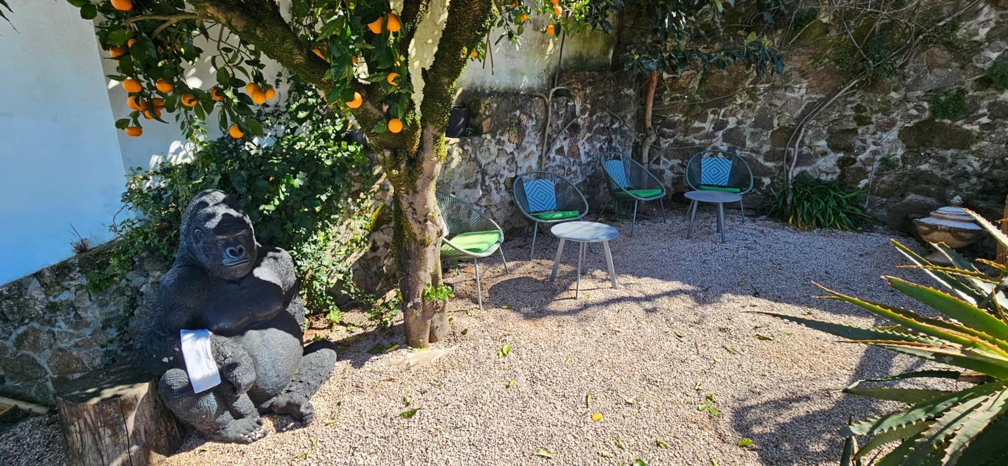 Casa Belavista Penela - Charming Guest House - Adults Only מראה חיצוני תמונה